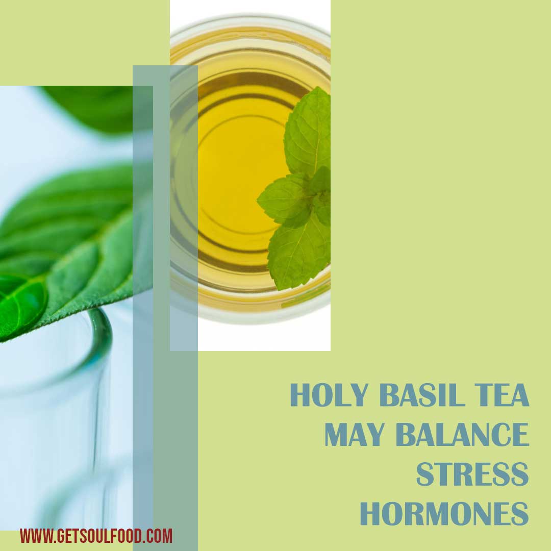 Holy Basil Tea Tulsi The Soul Food Company